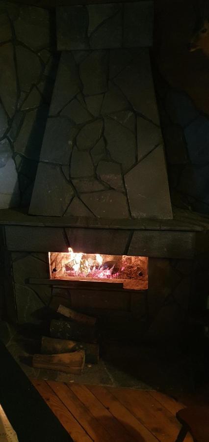 Vila Leni コパオニク エクステリア 写真